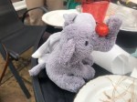 Saggy the cuddly elephant doing tricks with a tomato